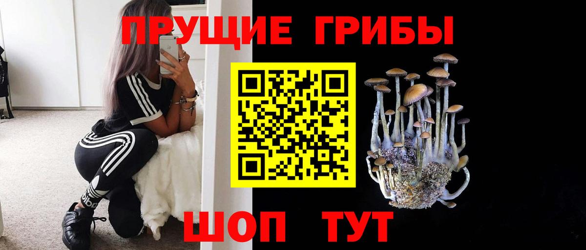 Псилоцибиновые грибы Cubensis  Вход с VPN  Ипатово 